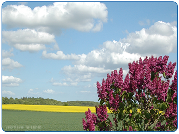 איוורור והנדסה